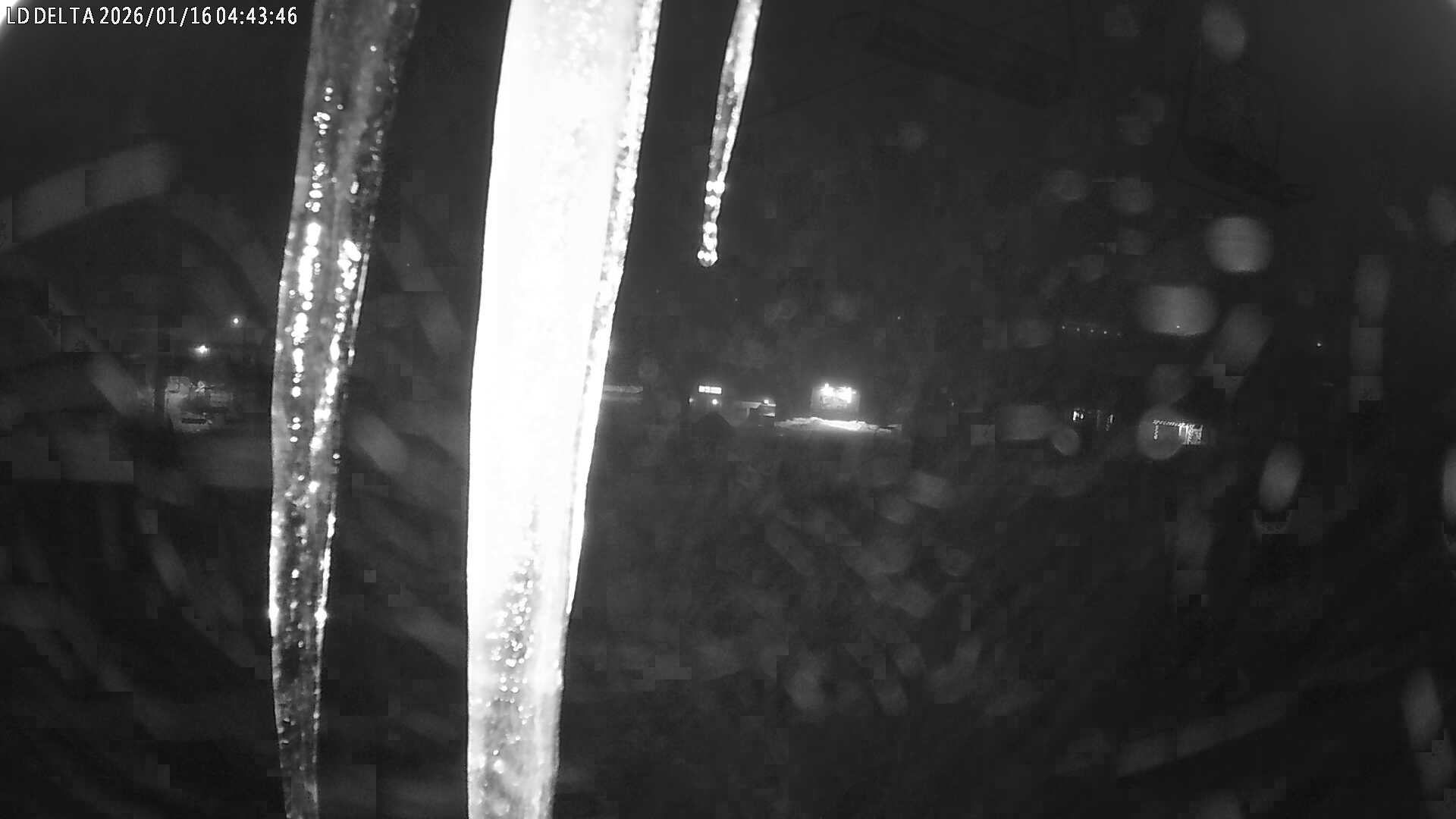 Kamera na żywo - Harrachow